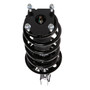 Complete Strut Assembly 818218 - bottom view