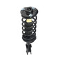 Complete Strut Assembly 818630
