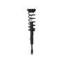 Complete Strut Assembly 818563 - front view