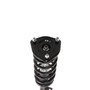Complete Strut Assembly 818563 - bottom view