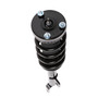 Complete Strut Assembly 818285 - bottom view
