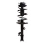 Complete Strut Assembly 818684 - front view