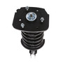 Complete Strut Assembly 818937 - top view