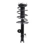 Complete Strut Assembly 920169 - front view