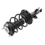 Complete Strut Assembly 920169 - bottom view