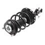 Complete Strut Assembly 920170 - bottom view