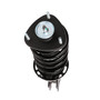 Complete Strut Assembly 819346 - bottom view