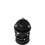 Complete Strut Assembly 818940 - bottom view