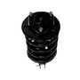 Complete Strut Assembly 819573 - bottom view