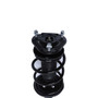 Complete Strut Assembly 819581 - bottom view