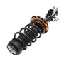 Complete Strut Assembly 920333 - bottom view
