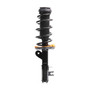 Complete Strut Assembly 920334 - front view
