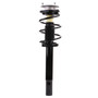 Complete Strut Assembly 920219 - front view