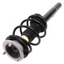 Complete Strut Assembly 920219 - bottom view