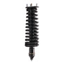 Complete Strut Assembly 920114 - front view