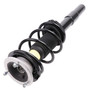 Complete Strut Assembly 920224 - bottom view