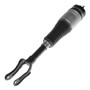 Air Suspension Strut Assembly 990044 - top view