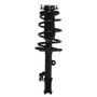 Complete Strut Assembly 920325 - front view