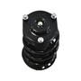 Complete Strut Assembly 920325 - bottom view
