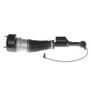 Air Suspension Strut Assembly 992052 - front view