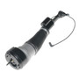 Air Suspension Strut Assembly 992052 - top view