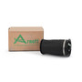 Air Suspension Spring Assembly-Rear A-2755