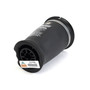 Air Suspension Spring Assembly-Rear A-2755