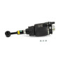 New Air Suspension Strut AS-2139