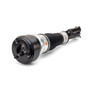 Reman Air Suspension Strut AS-2540