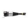 New Air Suspension Strut AS-2890
