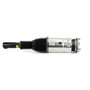 Reman Air Suspension Strut AS-3070