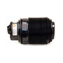Air Suspension Spring Assembly-Rear Left A-2791