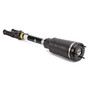 New Air Suspension Strut AS-3005
