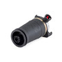 Air Suspension Spring Assembly-Rear Right A-2173