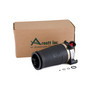 Air Suspension Spring Assembly-Rear Right A-2173
