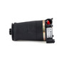 Air Suspension Spring Assembly-Rear Right A-2173
