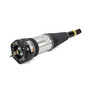 New Air Suspension Strut AS-2894