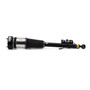 New Air Suspension Strut AS-2822
