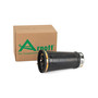 Air Suspension Spring Assembly-Rear A-2202