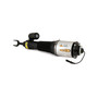 Reman Air Suspension Strut AS-2580