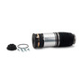 Air Suspension Spring Assembly-Front A-2885