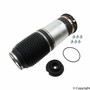 Air Suspension Spring Assembly-Front A-2885