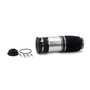 Air Suspension Spring Assembly-Front A-2885