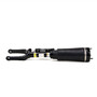 New Air Suspension Strut AS-2833