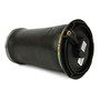 Air Suspension Spring Assembly-Rear A-2692