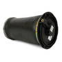 Air Suspension Spring Assembly-Rear A-2692