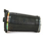 Air Suspension Spring Assembly-Rear A-2692