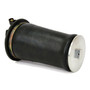 Air Suspension Spring Assembly-Rear A-2692