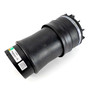 Air Suspension Spring Assembly-Rear A-5656