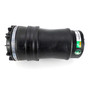 Air Suspension Spring Assembly-Rear A-5656